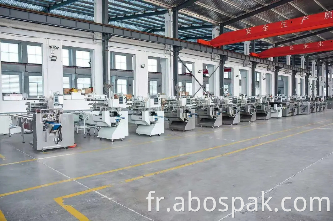 Machine à emballer de remplissage et de scellage de sachet en plastique de nourriture de flux de pâtes de spaghetti